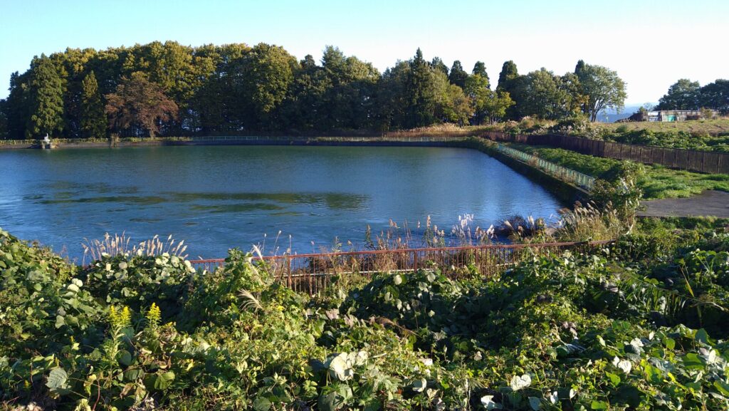 沖ノ原調整池の風景
