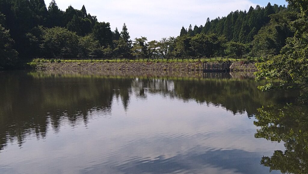上流側から見たとら堤