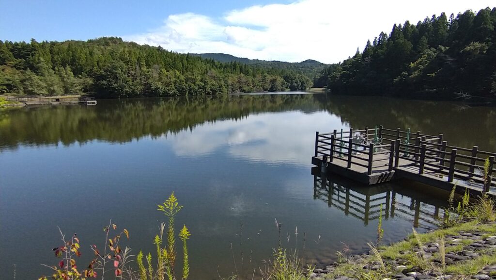 とら堤のダム湖
