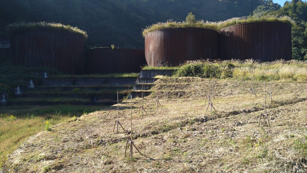 左岸から見たトヤ沢砂防堰堤の風景