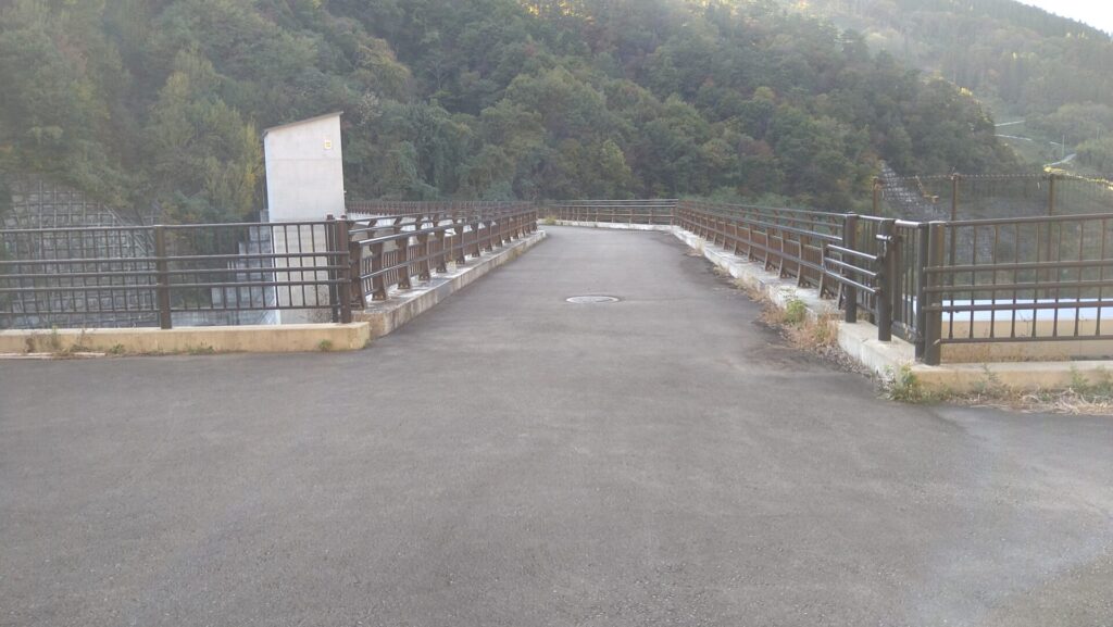 左岸から見た浅川ダムの天端