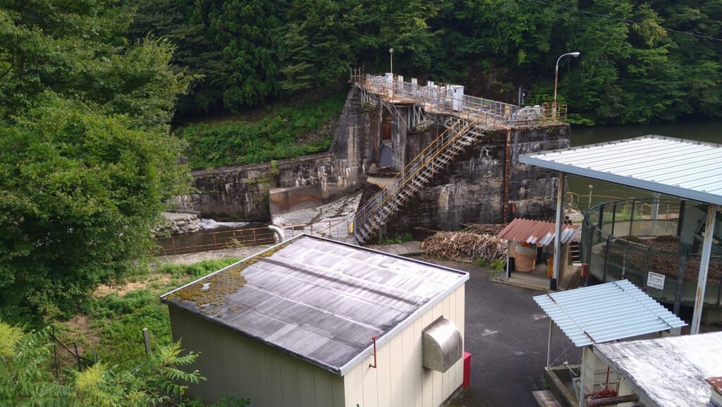 左岸から見た駒場ダム