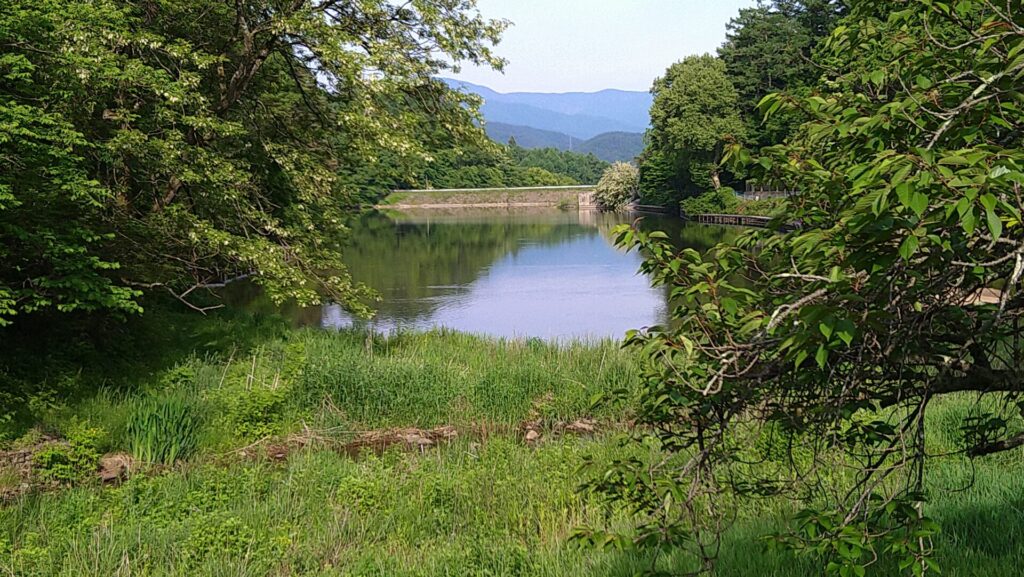みどり湖花公園から見た風景