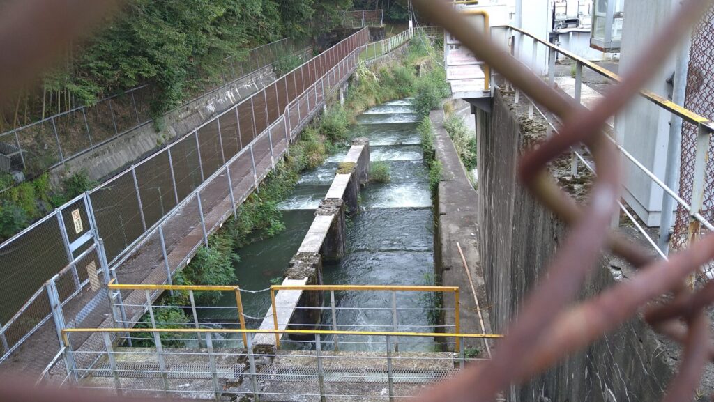 大久保ダムの魚道