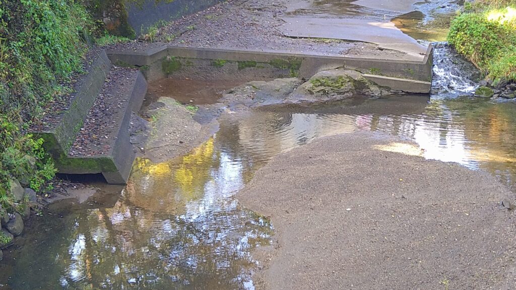 泥川ダムのダム下