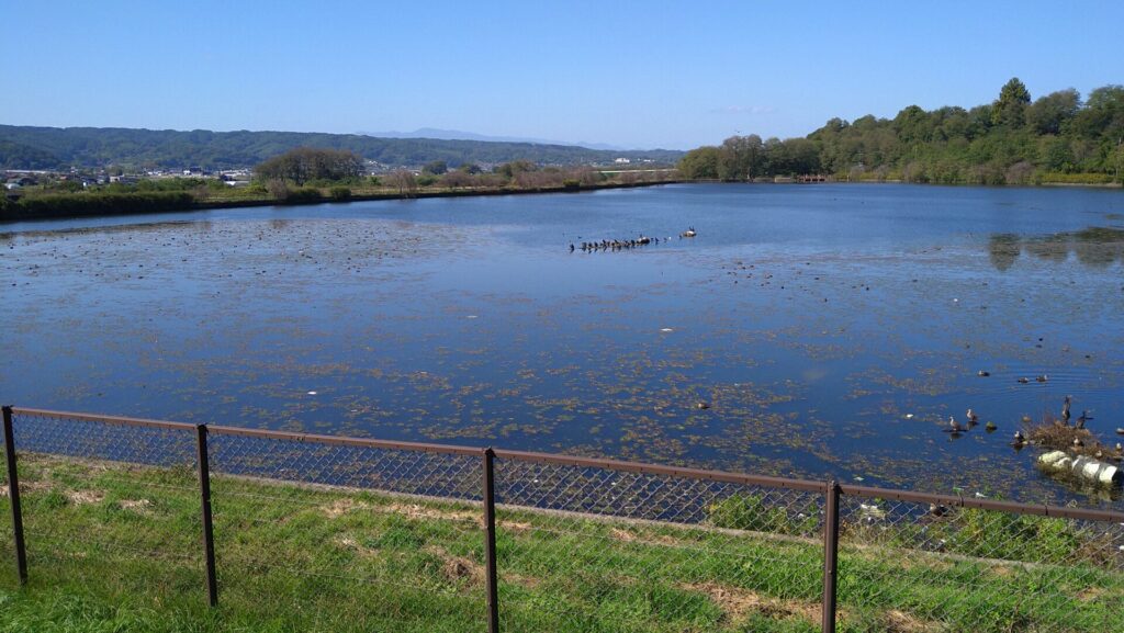 小諸発電所第一調整池の風景