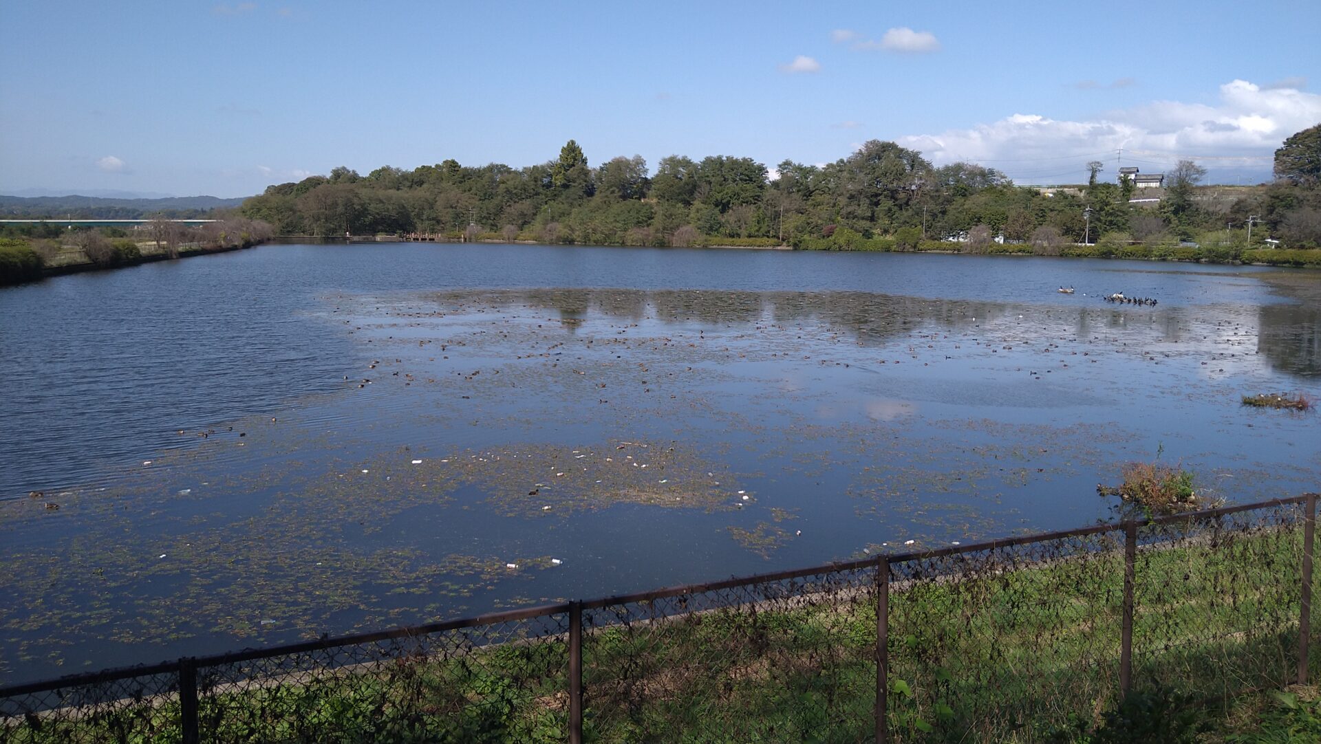 小諸発電所第一調整池