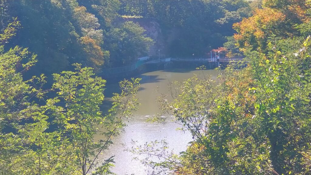 右岸の上流側から見た小諸発電所第二調整池