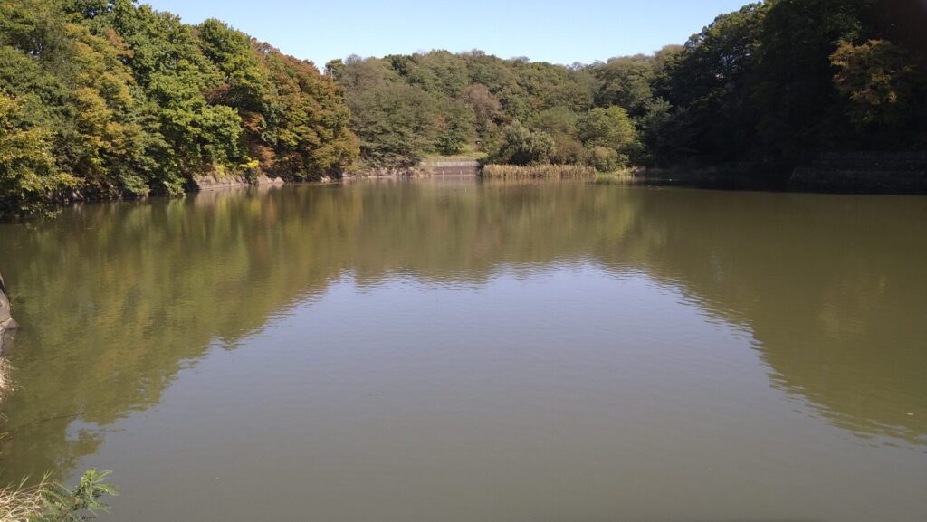 小諸発電所第二調整池のダム湖