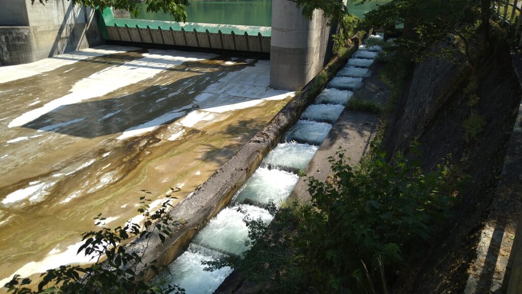 デンカ大網発電所取水堰の魚道