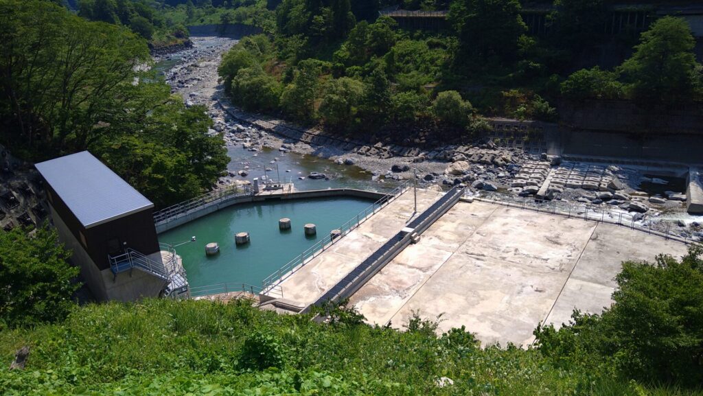 左岸から見た姫川第六発電所取水堰の下流側
