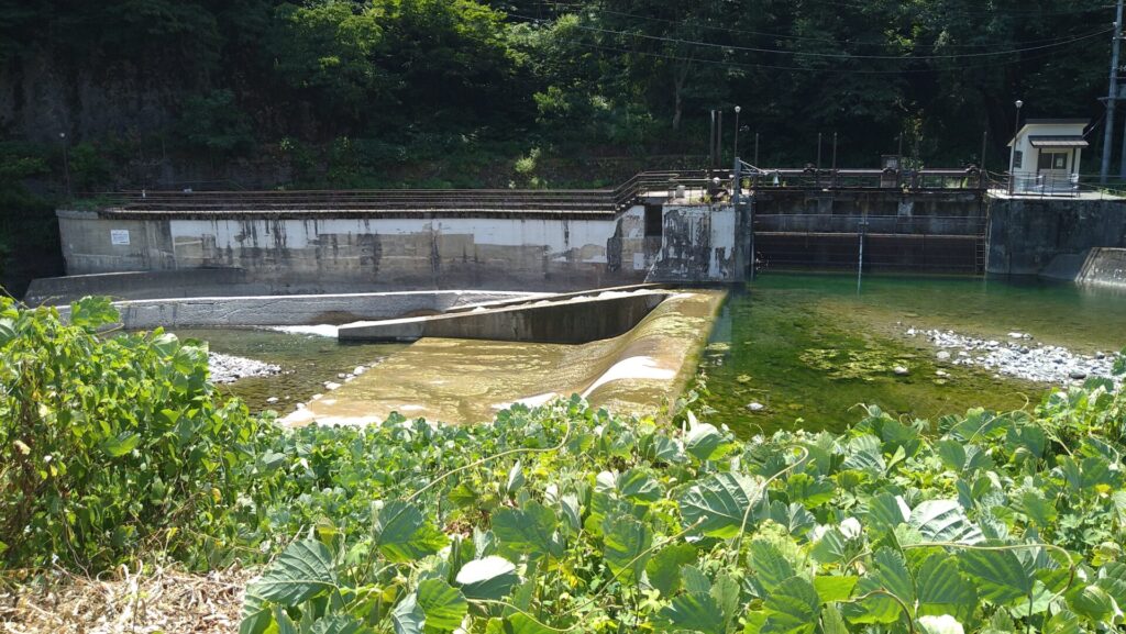 左岸から見た小滝川取水堰