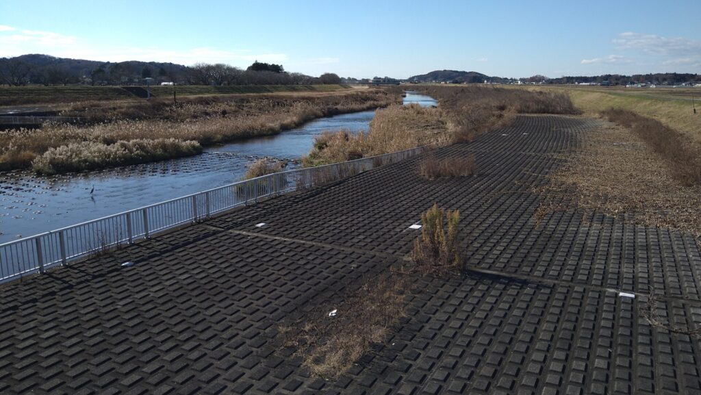 君島堰の下流側