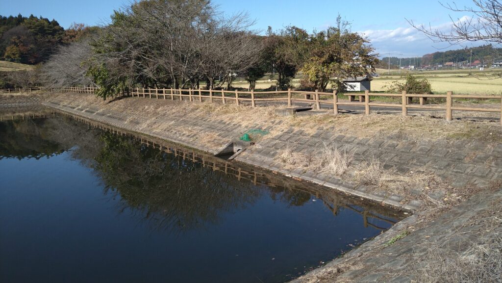 大溜の上流側の堤防