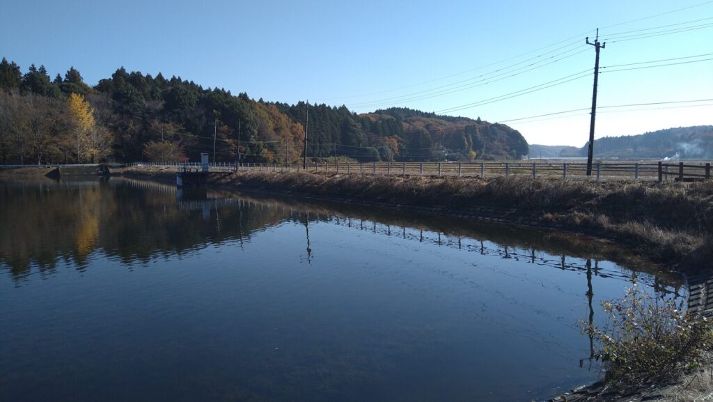 右岸の上流側から見た大溜の堤体