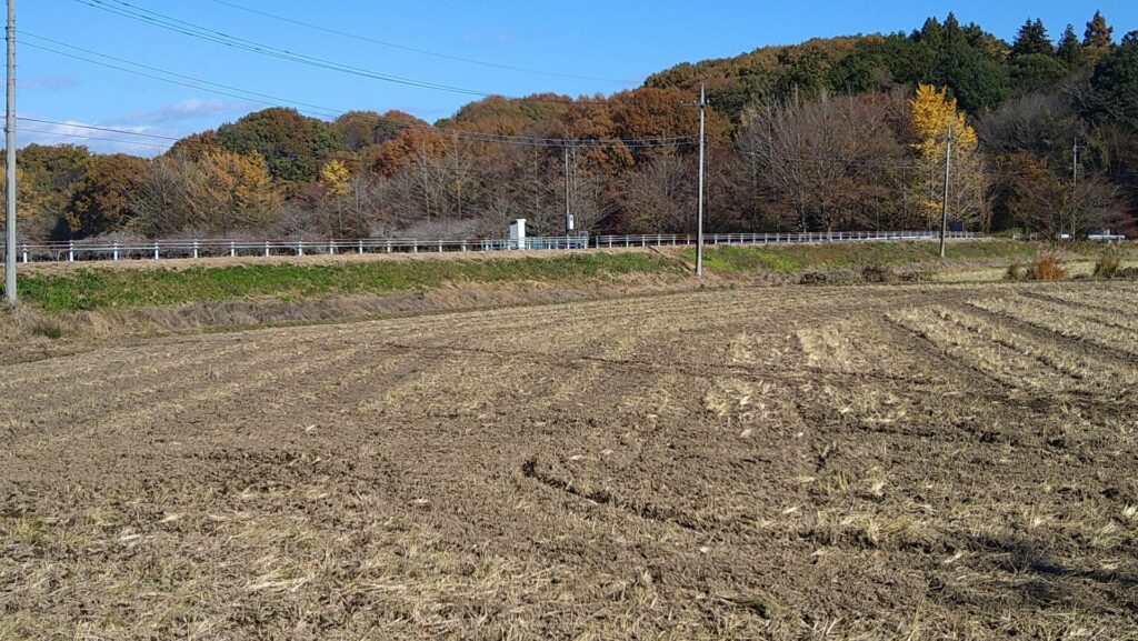 下流側から見た大溜の堤体