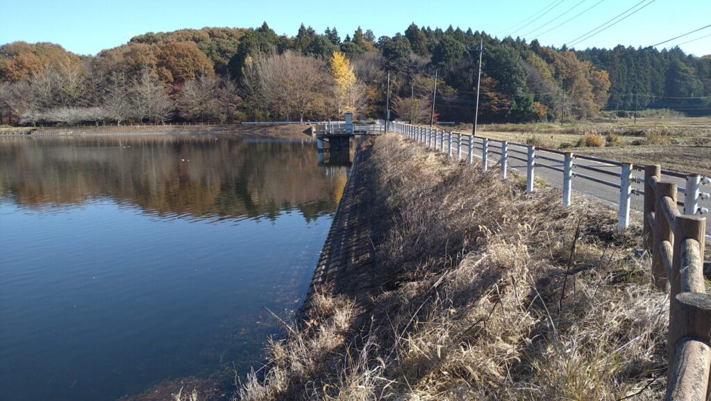 右岸の上流側から見た大溜の堤体