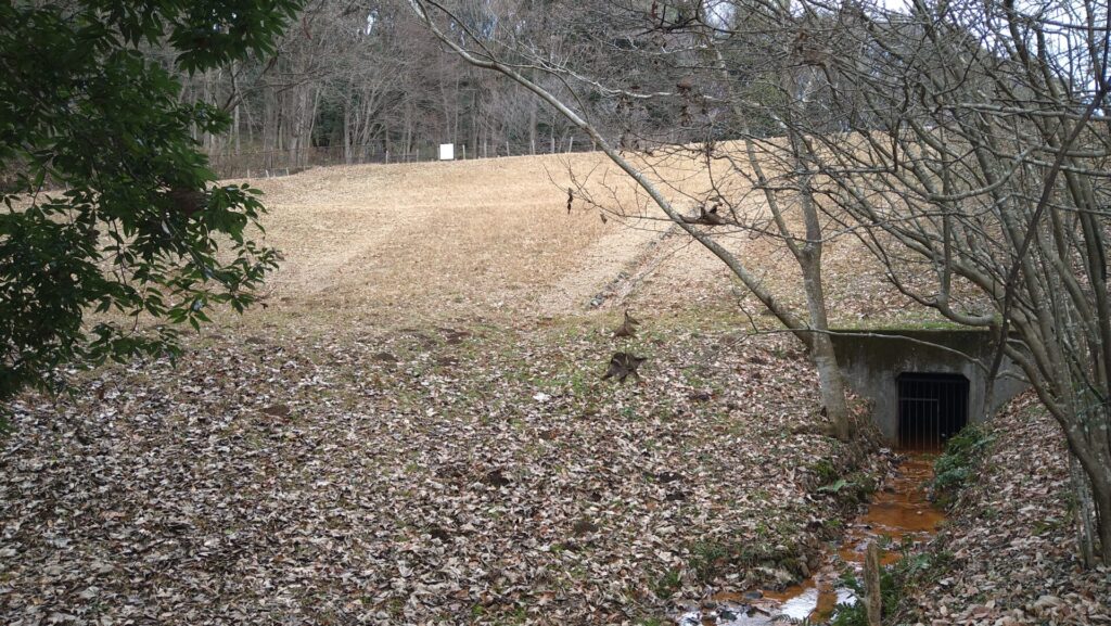 うつのみや文化の森にある調整池の堤体