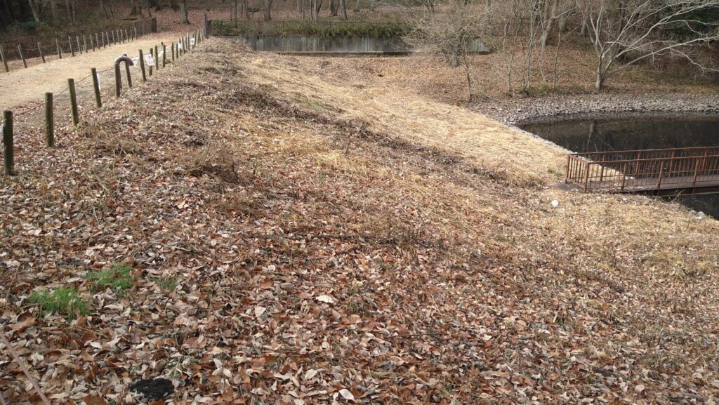 うつのみや文化の森にある調整池の堤体