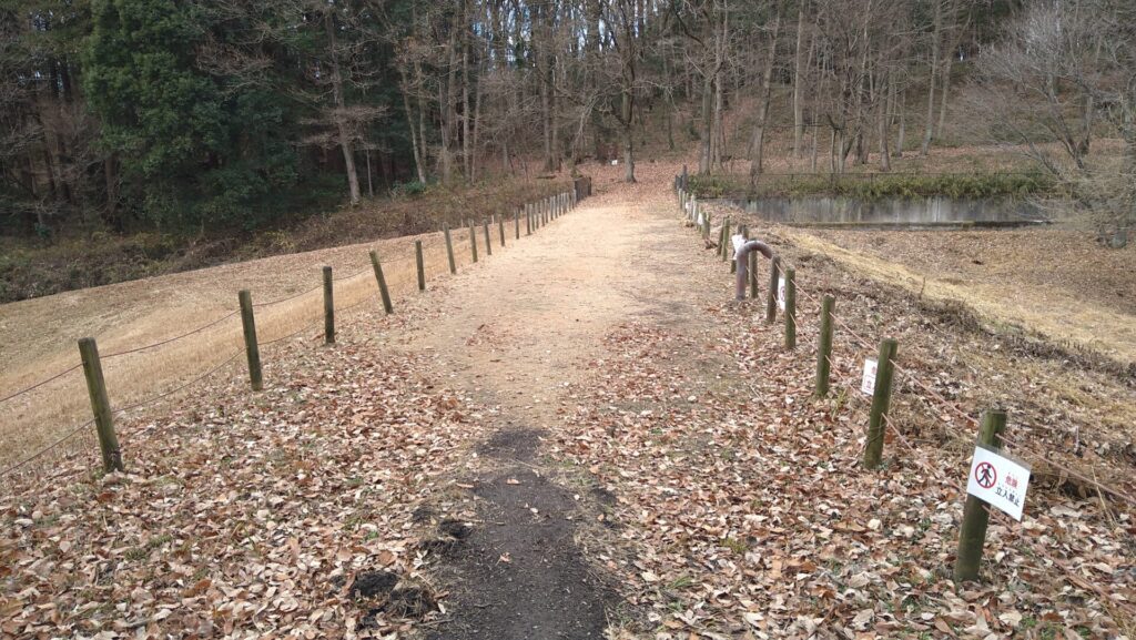 うつのみや文化の森にある調整池の天端