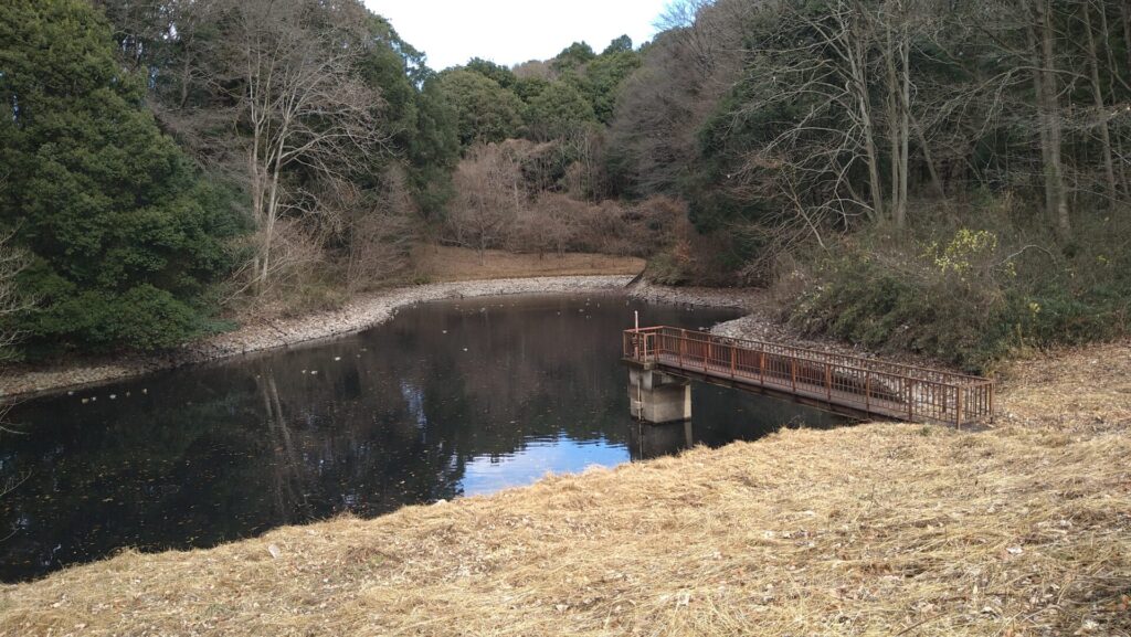 うつのみや文化の森にある調整池の風景