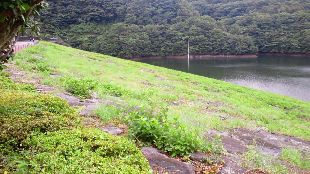 左岸の上流側から見た奥野ダム