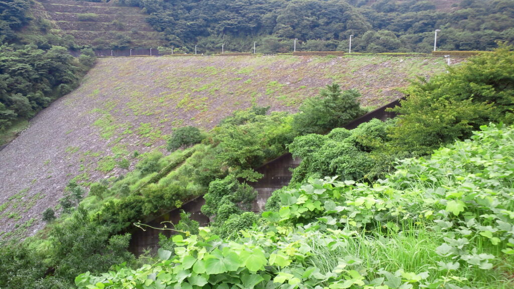 左岸の下流側から見た奥野ダム