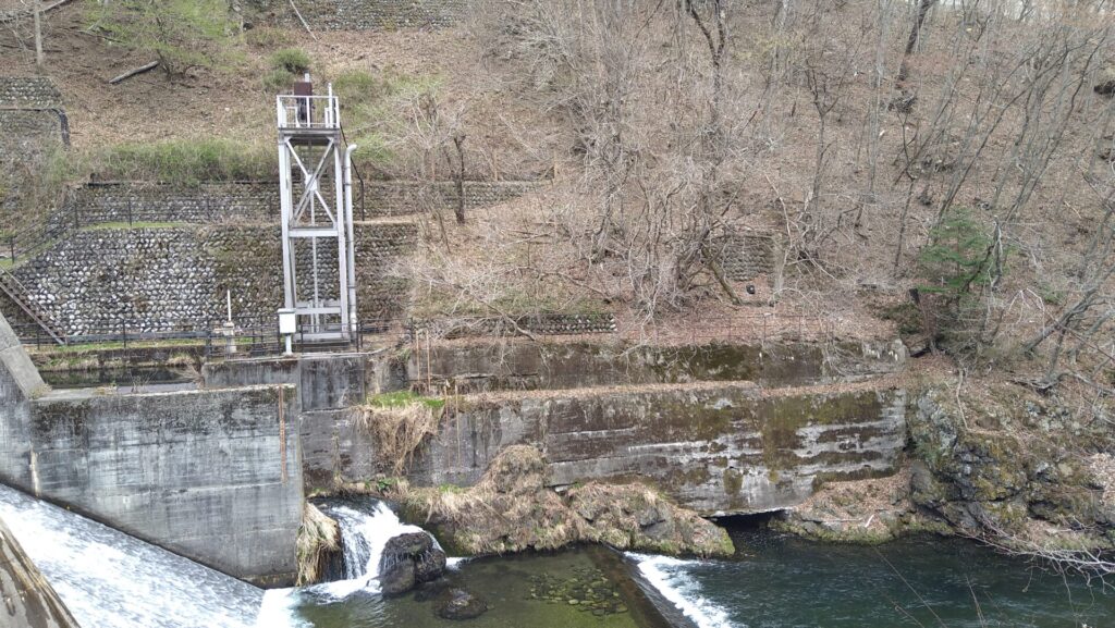 仲内ダムの左岸