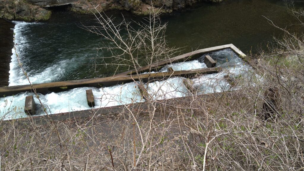 仲内ダムの魚道