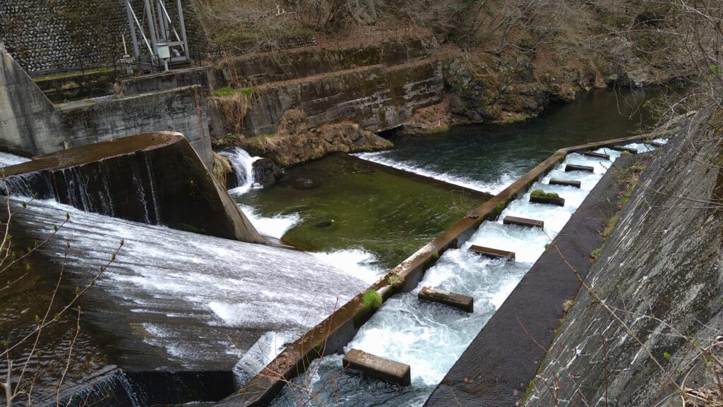 右岸から見た仲内ダムの下流側