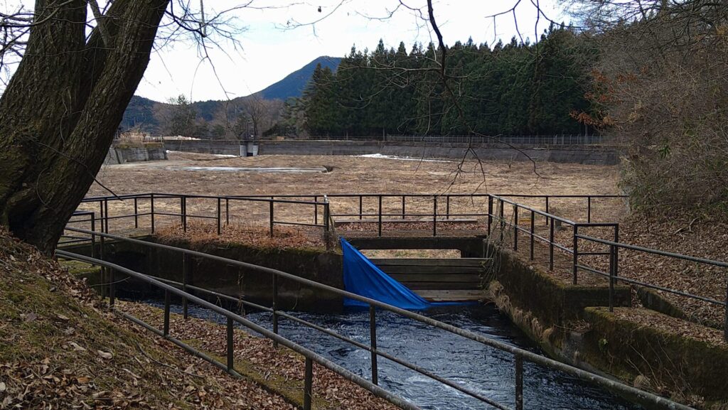 所野調整池の風景