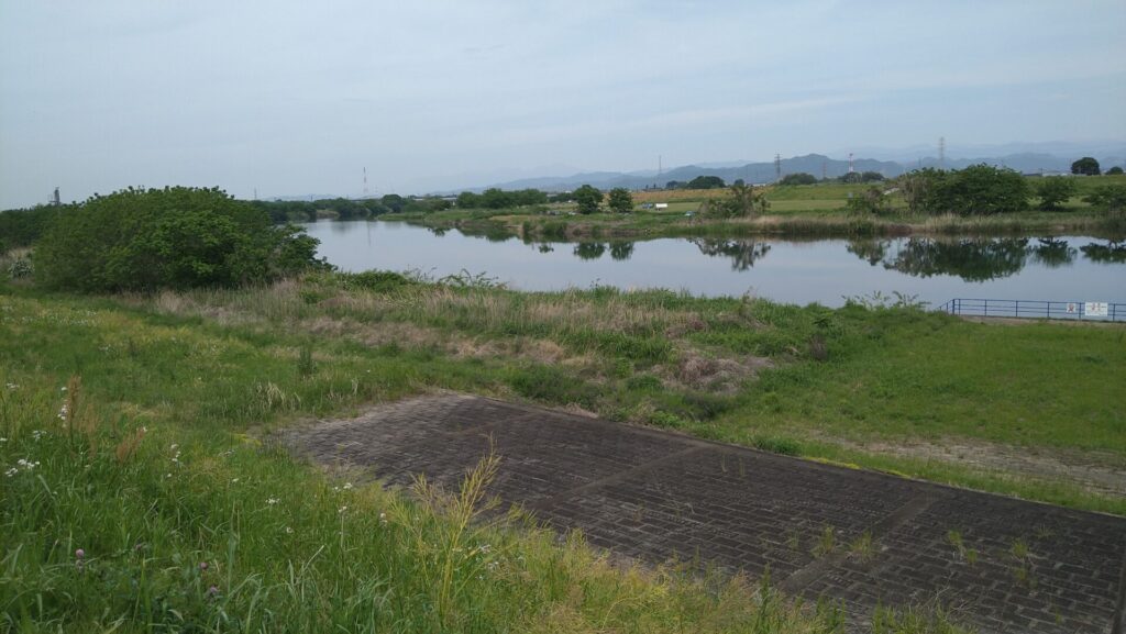 邑楽頭首工の上流側