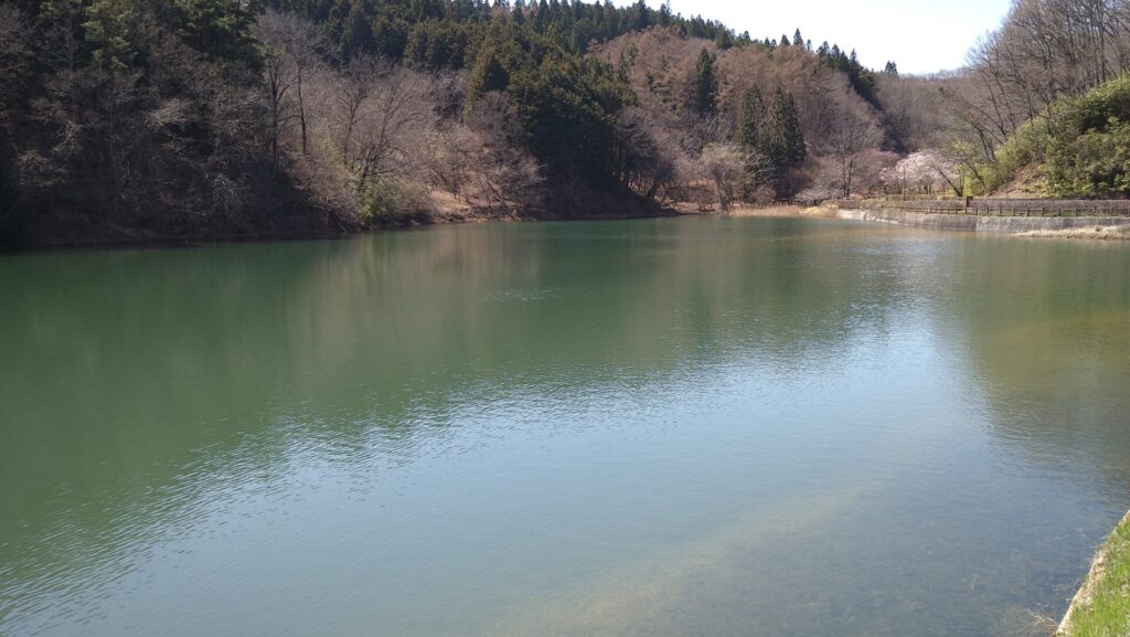 幕宮池の風景