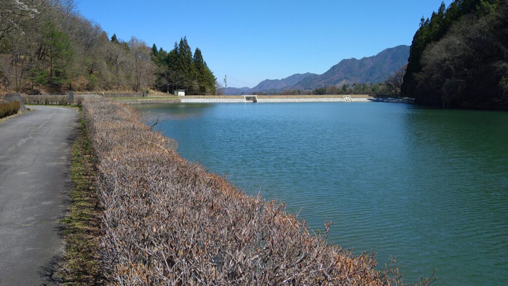 上流側から見た幕宮池