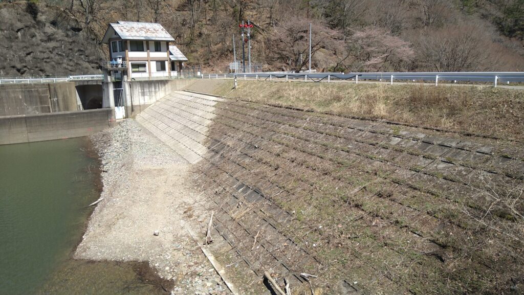 右岸から見た沢山池の堤体