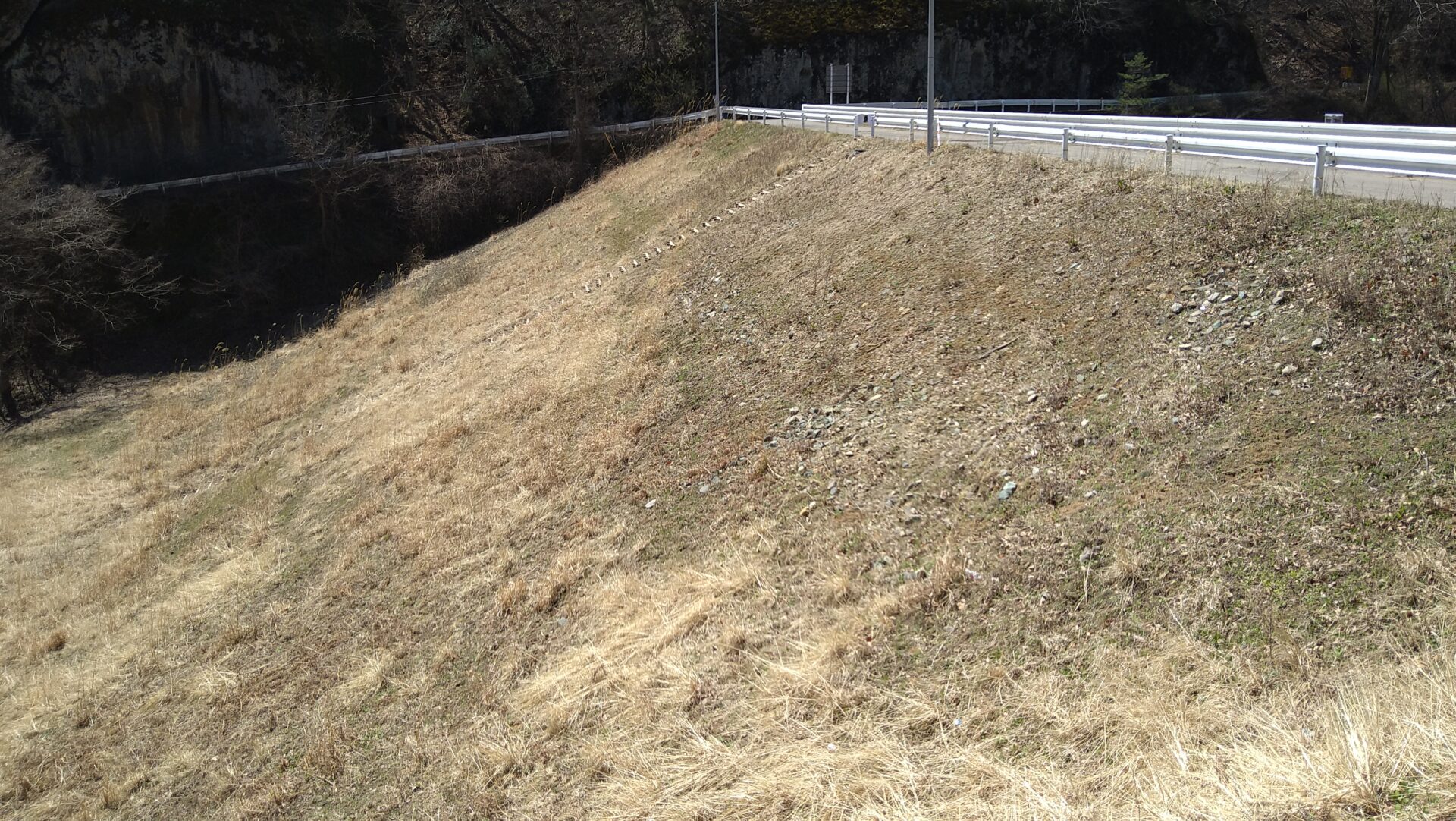 沢山池