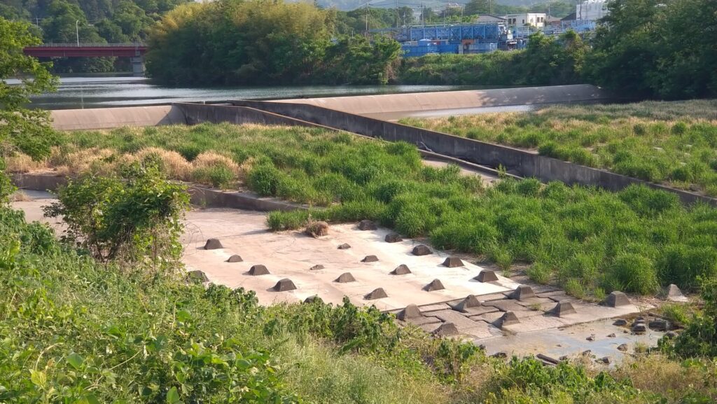 神流川頭首工の固定堰と魚道