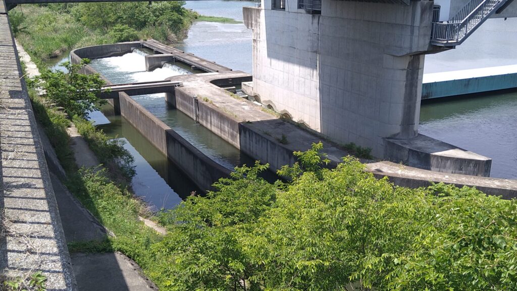 六堰頭首工の流水改善水路