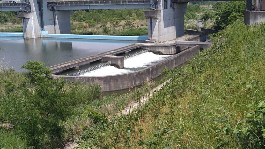六堰頭首工の流水改善水路