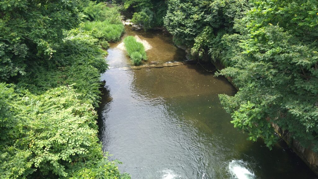 銀山川ダムの下流側