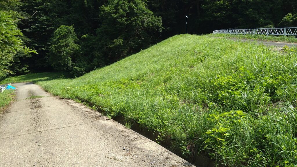 小以良川ダムの堤体