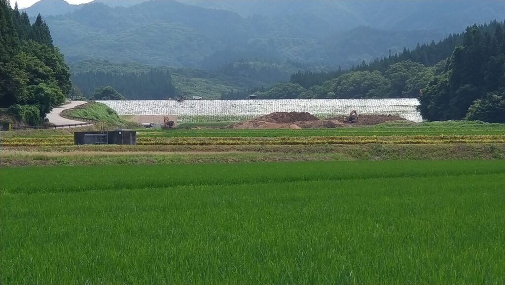 下流側から見た小泉大堤