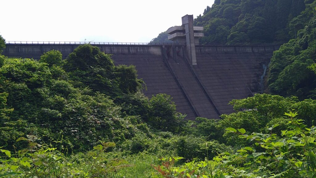下流側から見た桝沢ダム
