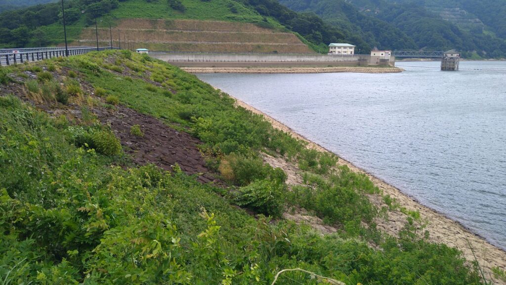 左岸から見た新鶴子ダム