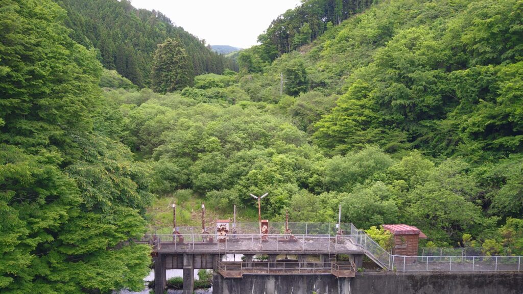 小山調整池の上流側