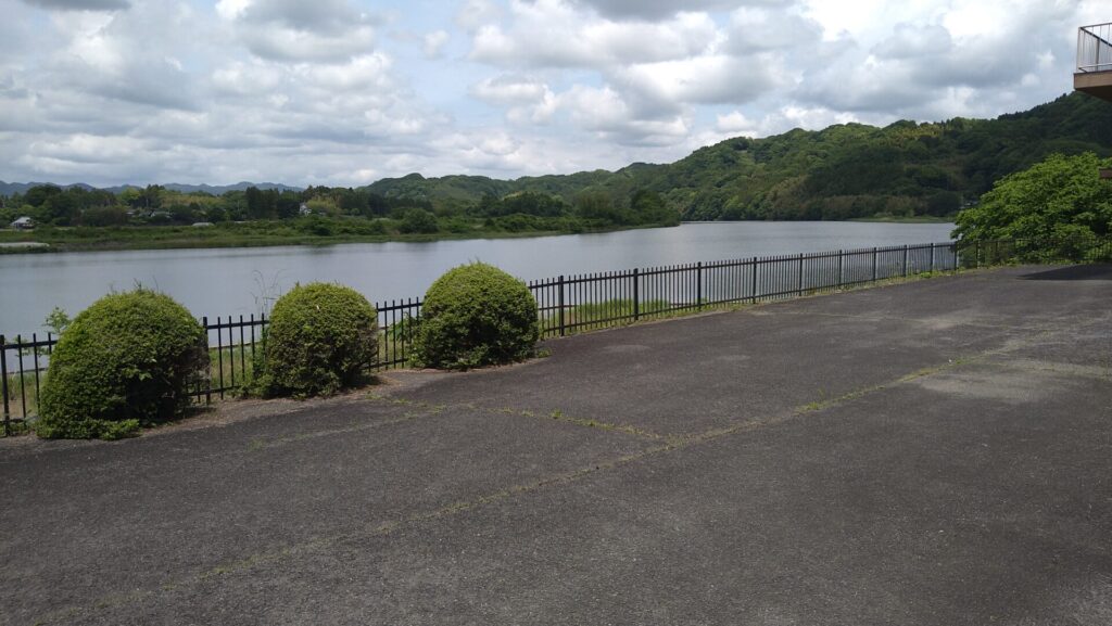 辰ノ口堰より上流の風景