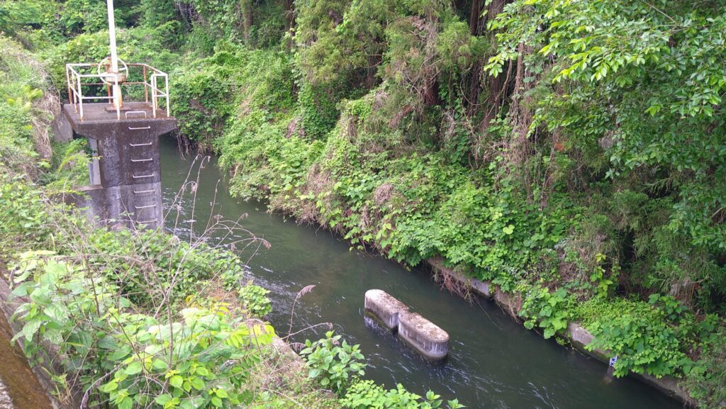 辰ノ口堰の左岸にある水路