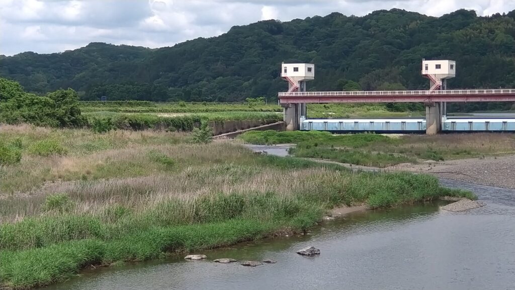 辰ノ口堰右岸の魚道