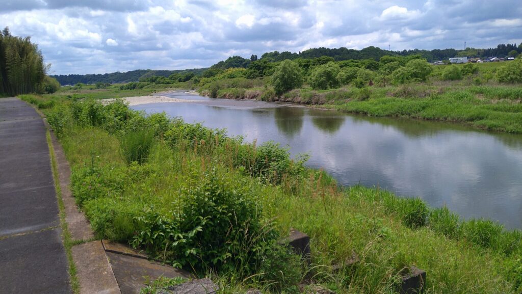 辰ノ口堰の下流側の風景