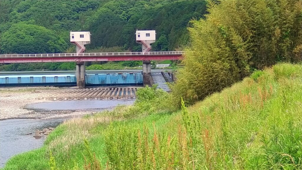 辰ノ口堰左岸の魚道